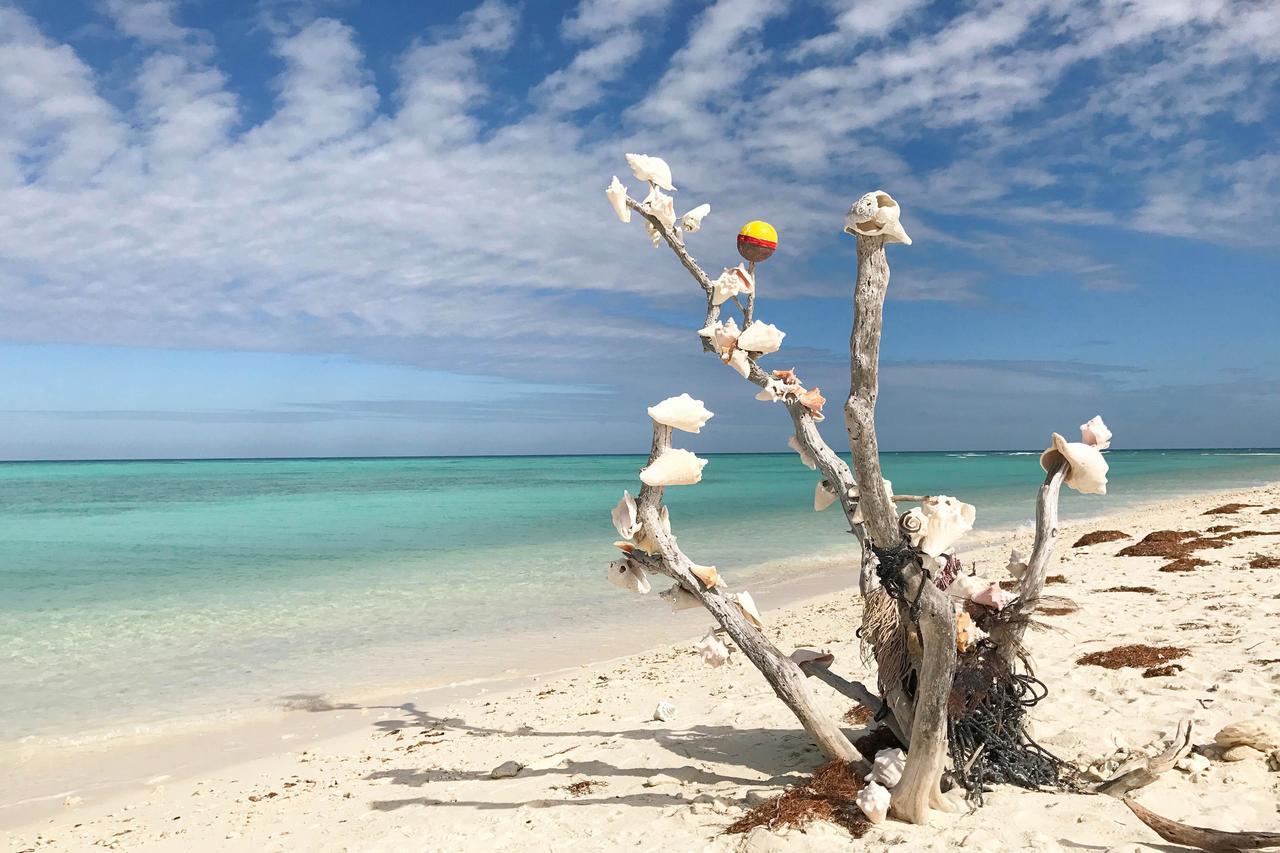 Conch Casa Villa Key West Eksteriør bilde